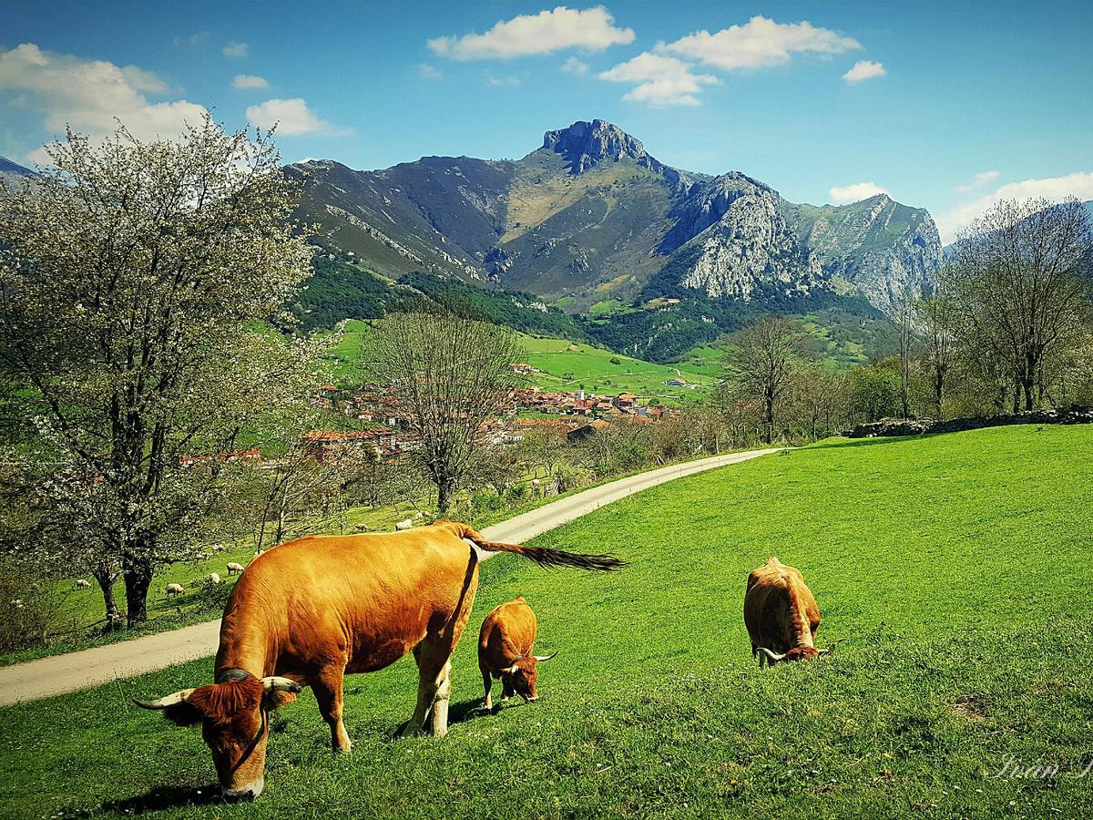 Hotel La Rivera Arenas De Cabrales Exteriér fotografie